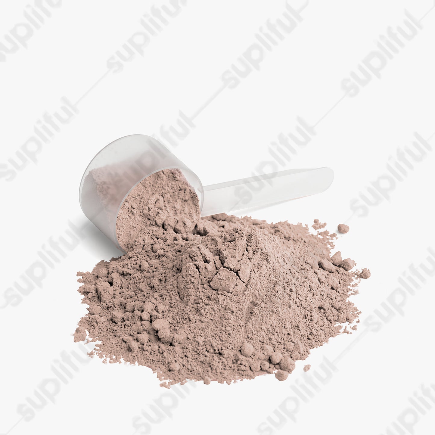 Plant Protein (Chocolate)